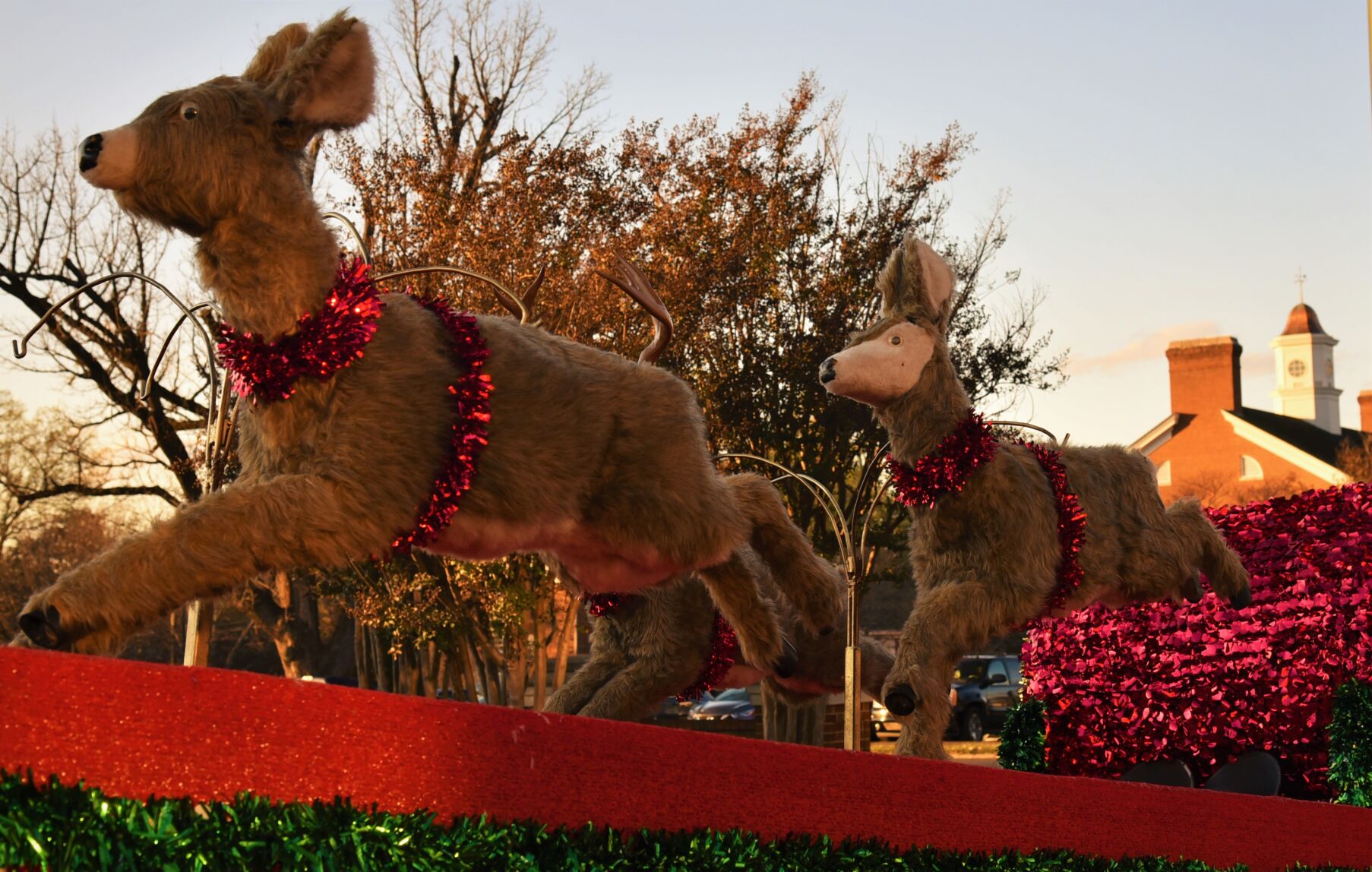 Hoppin nov. 21 (87).JPG